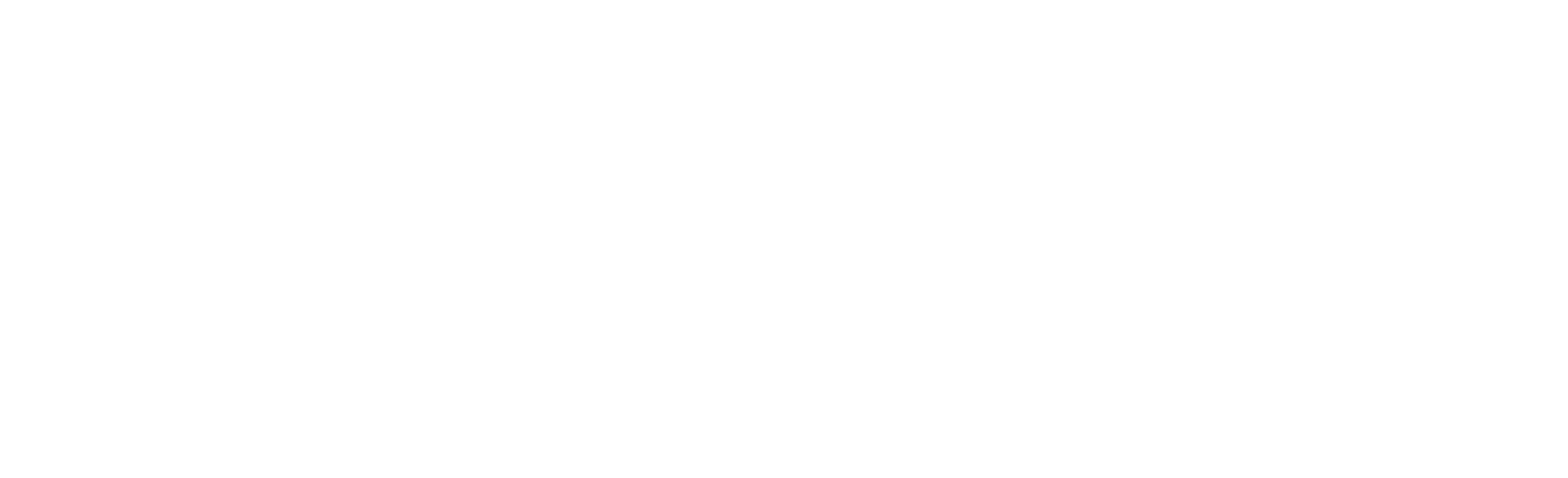 Brzezinski Global Strategies